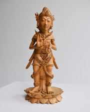 Grace of Krisna