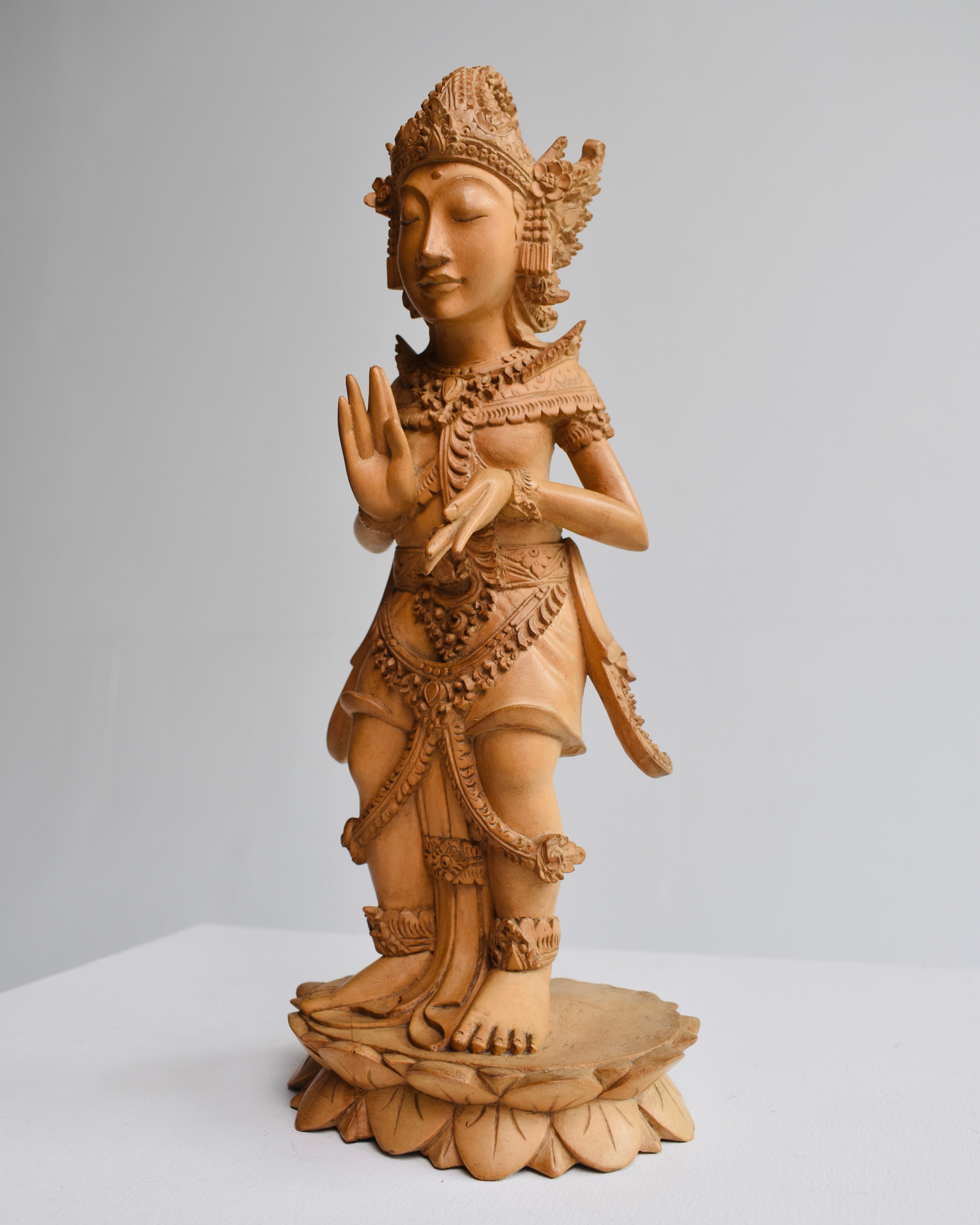 Grace of Krisna