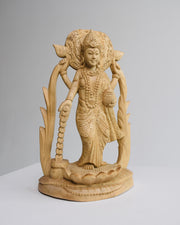 Hero of Dharma