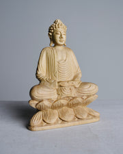 Stillness in Bloom